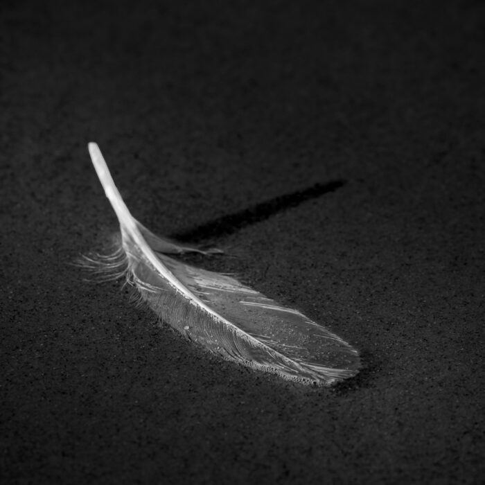 White Feather (Angels Are Near)